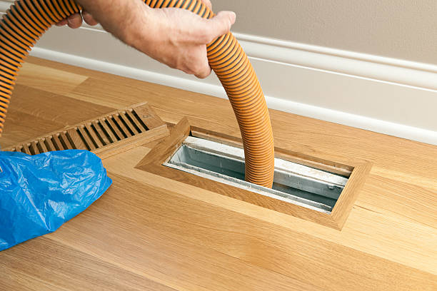 Best Air Duct Mold Removal  in La Honda, CA