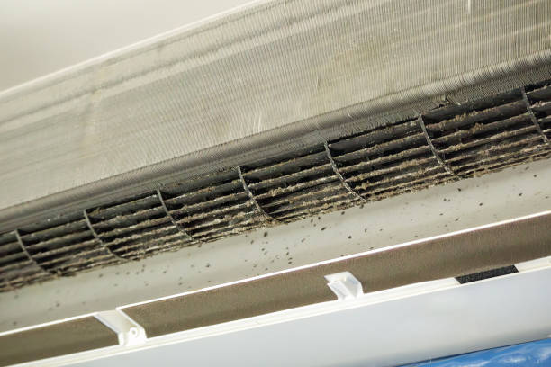 HVAC System Cleaning in La Honda, CA